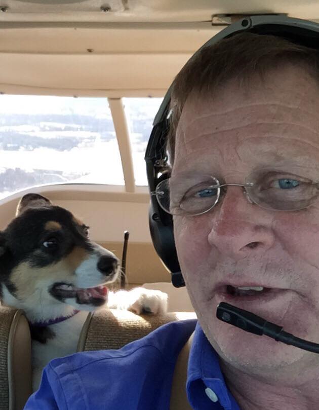 Dogs in Airplanes