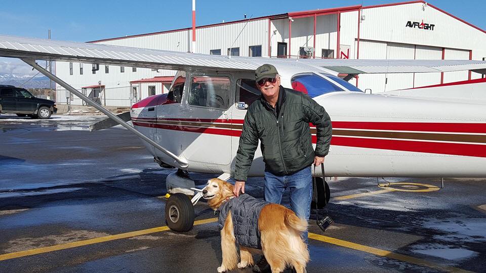 Dogs in Airplanes
