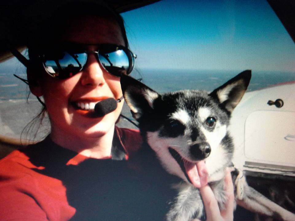 Dogs in Airplanes