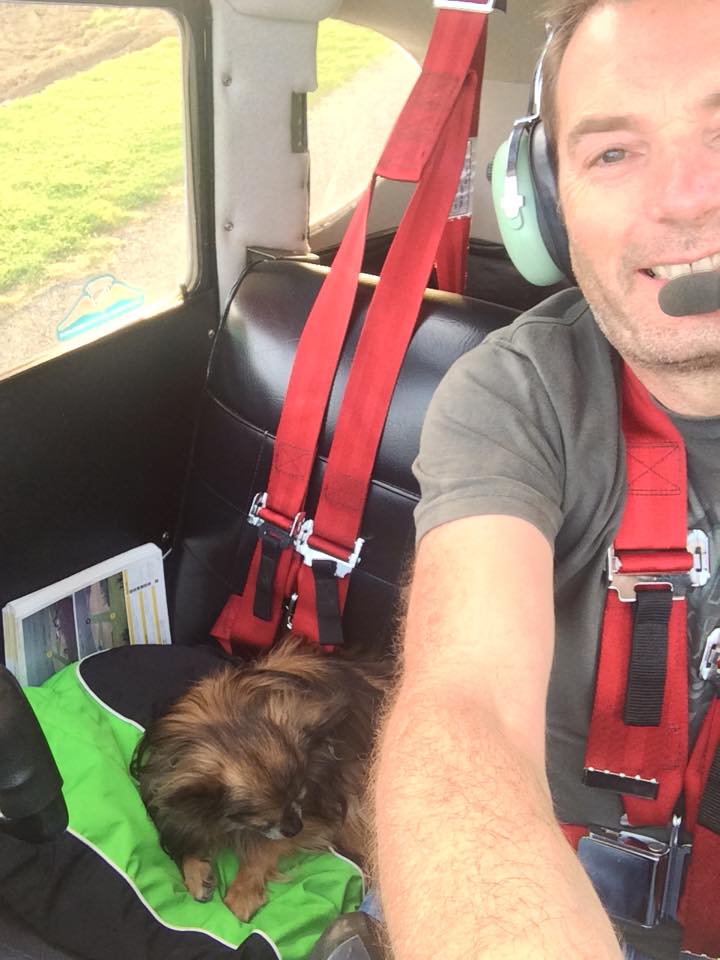 Dogs in Airplanes