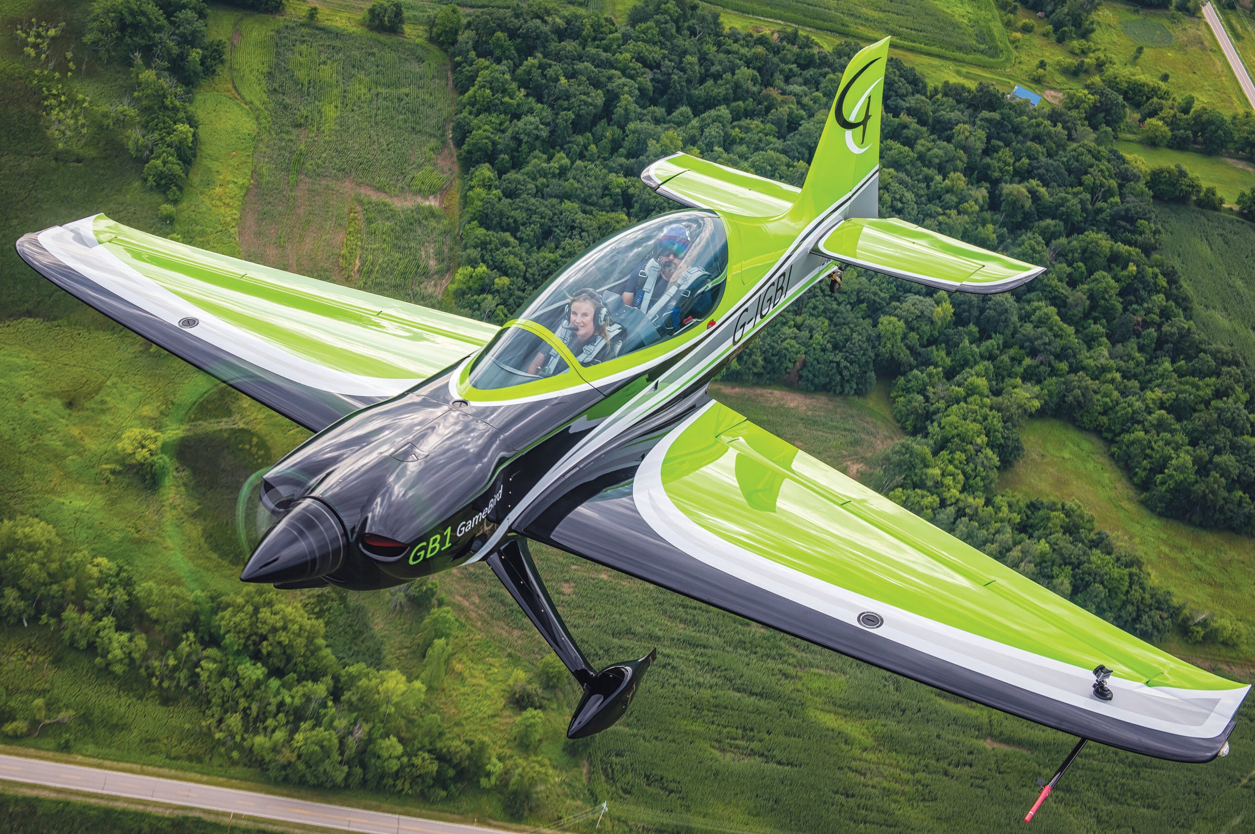 GameBird GB1