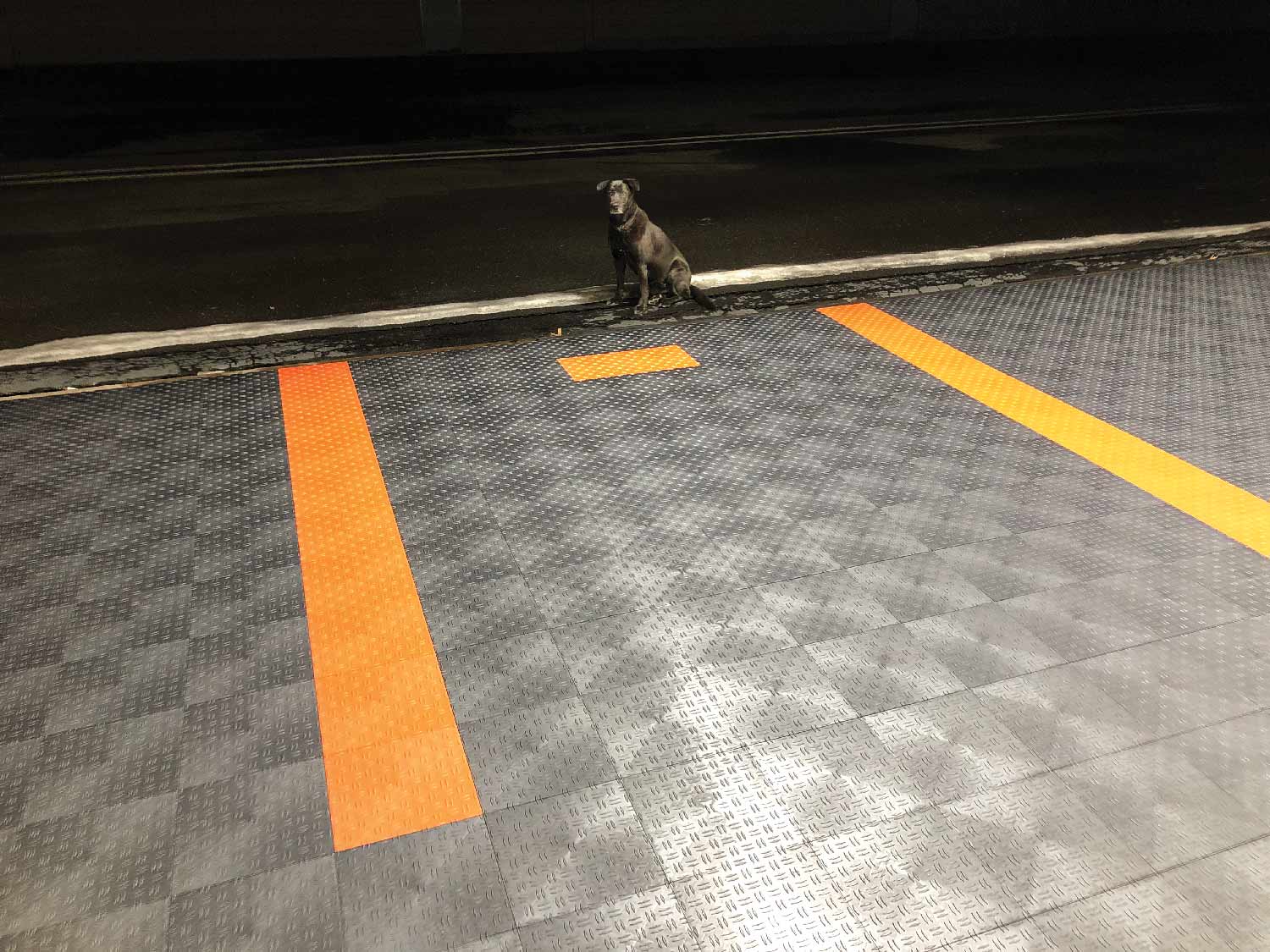 airplane hangar flooring