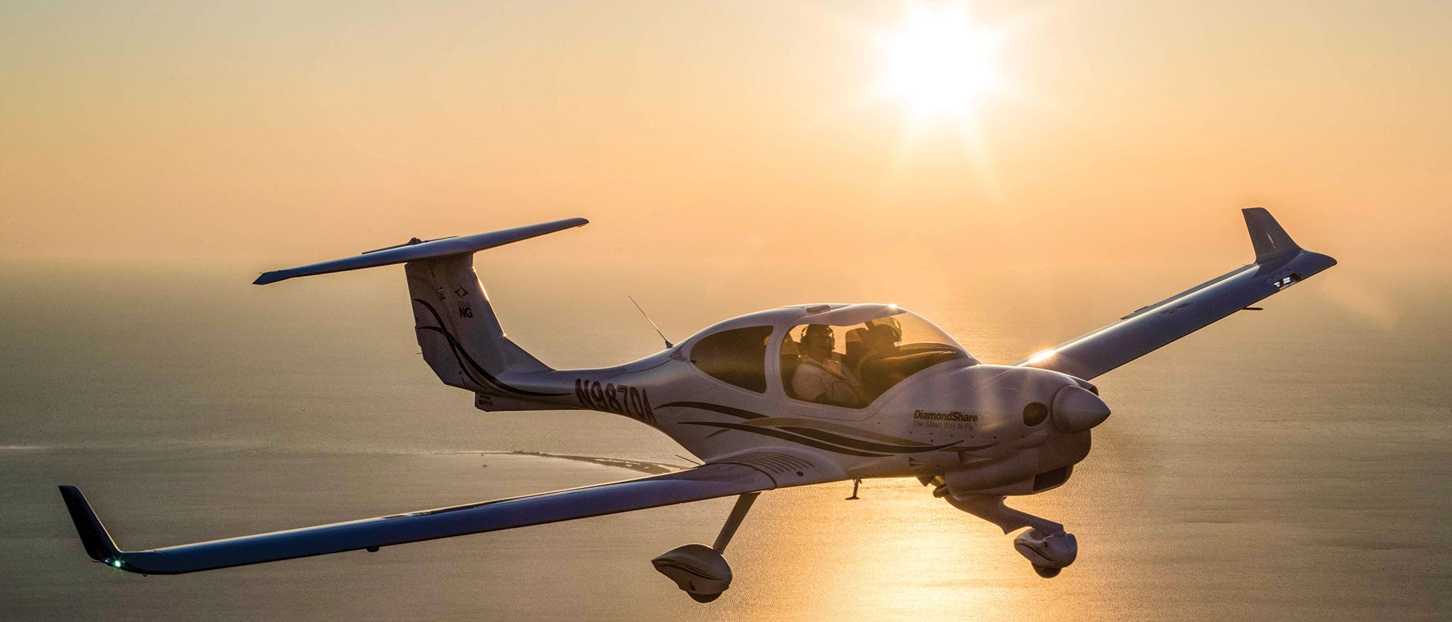 diamond da40 ng