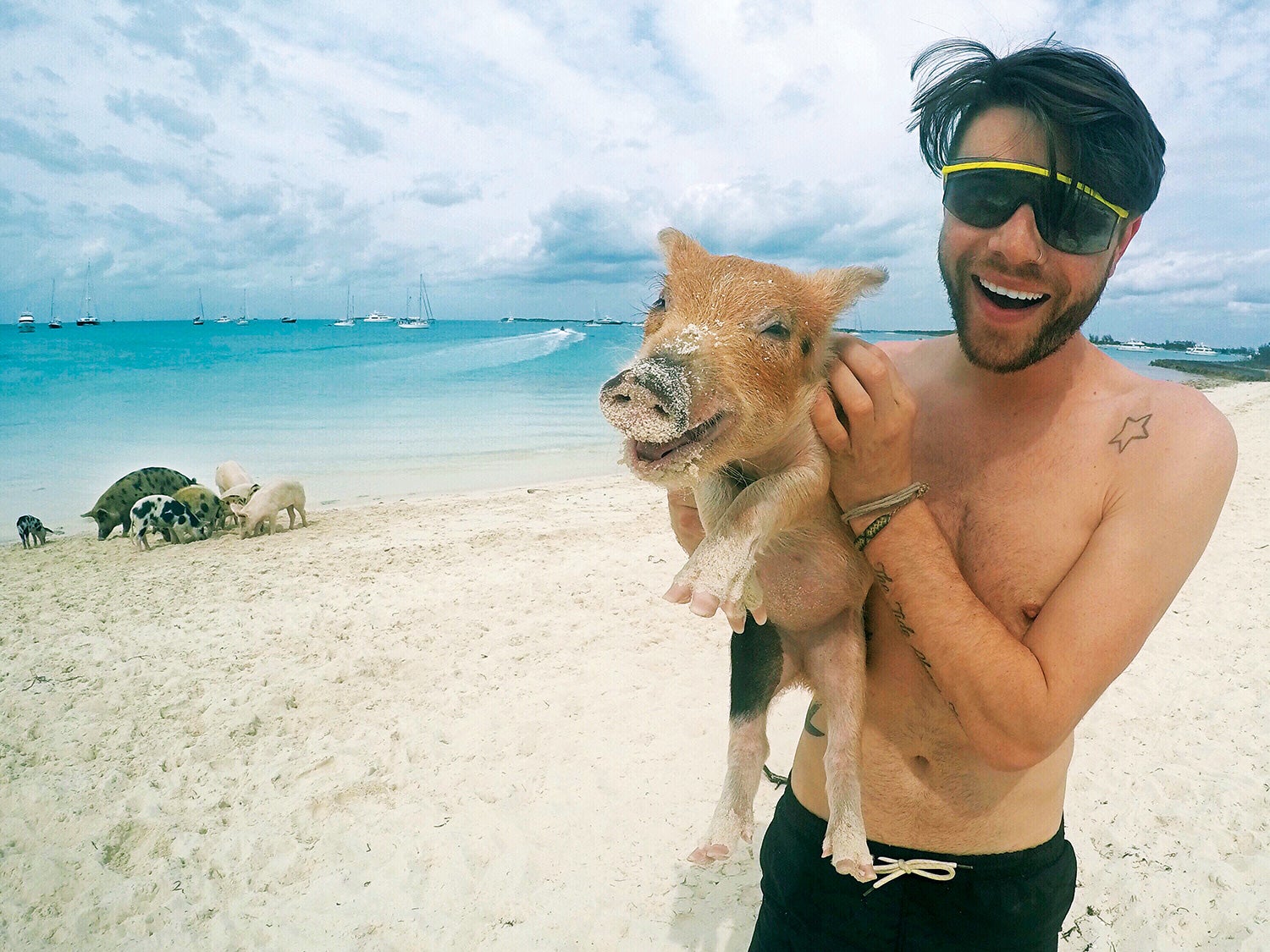Swimming pigs of Staniel Cay