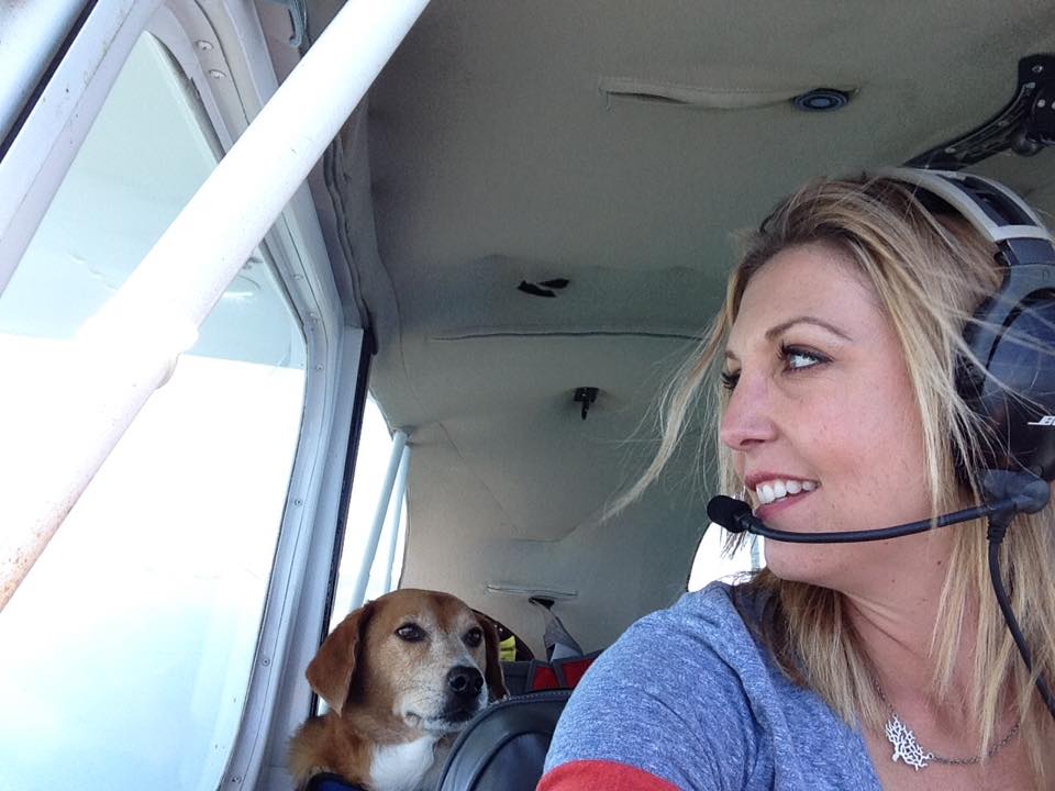 Dogs in Airplanes