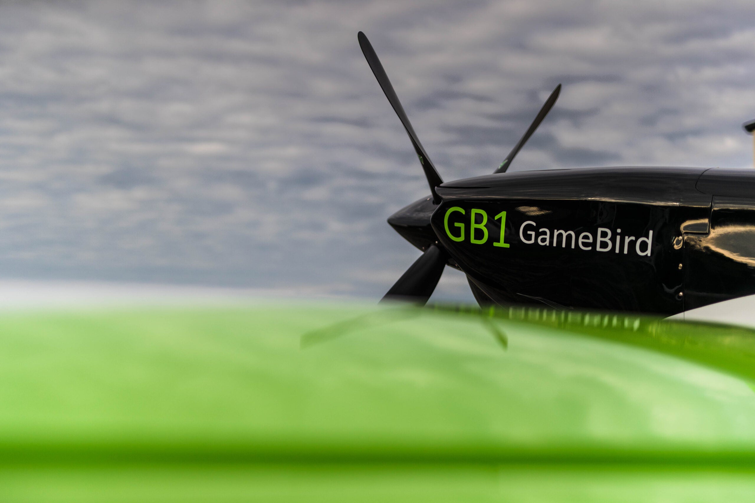 GameBird GB1