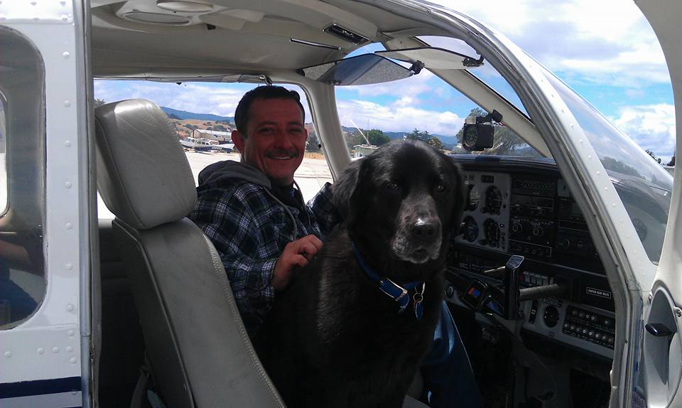Dogs in Airplanes