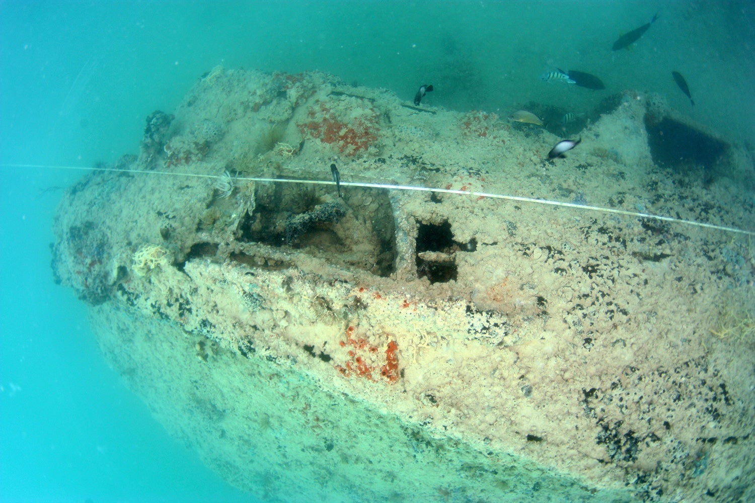 Sunken Wreck of PBY-5 Catalina