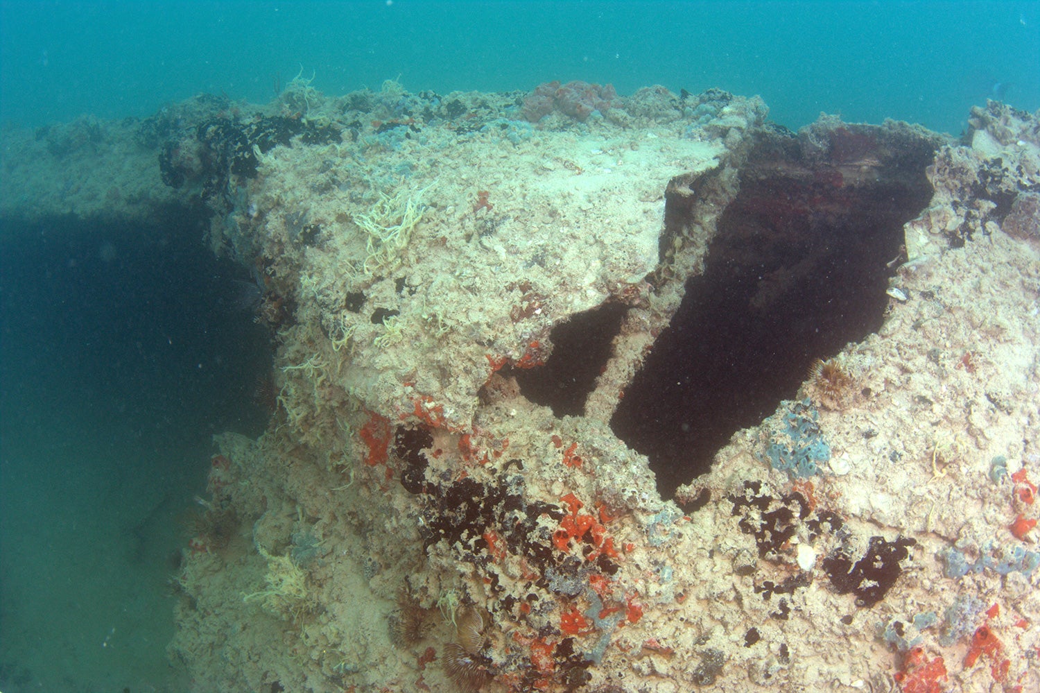 Sunken Wreck of PBY-5 Catalina