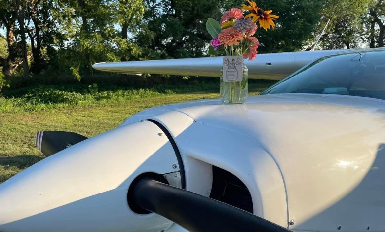 Airplane with a vase of flowers perched on the fuselage