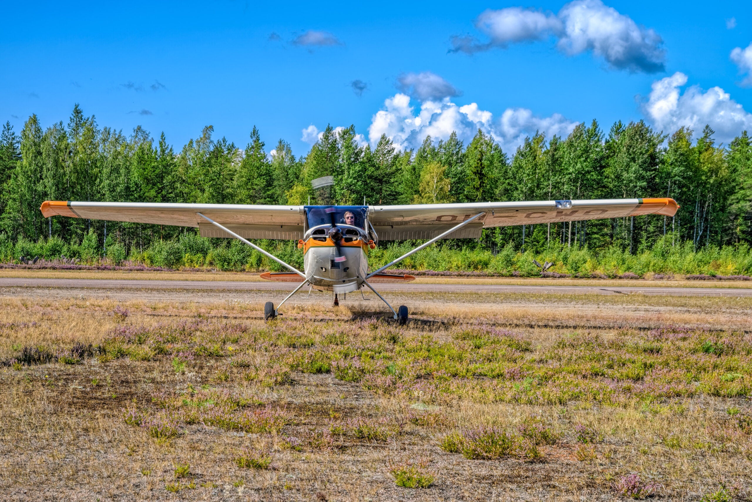 A Cessna 170B with flaps extended.