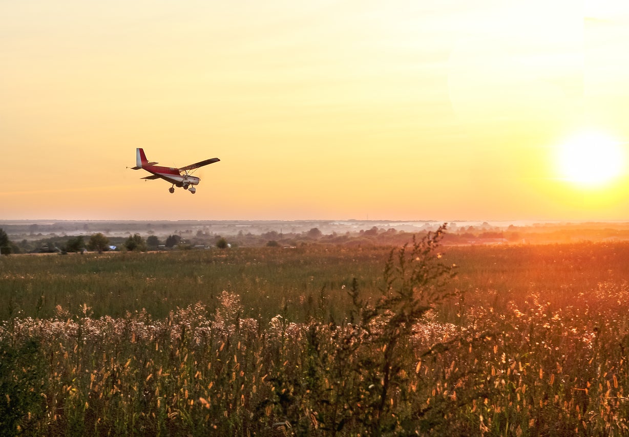 Plane landing in the sunset