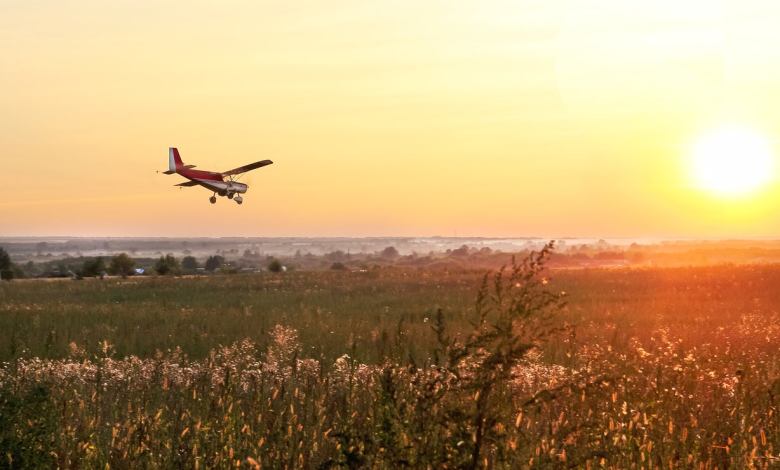 Plane landing in the sunset