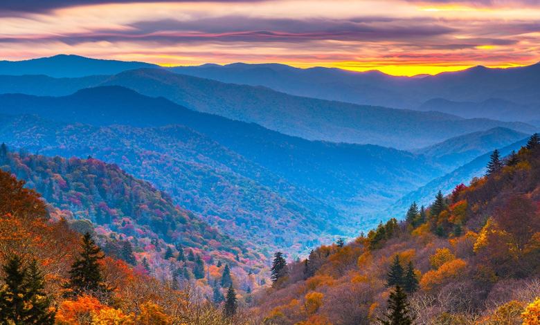 A view of the Great Smoky Mountains showing the trees dressed up for fall, with gold and red leaves glistening as the sun rises over the mountains.