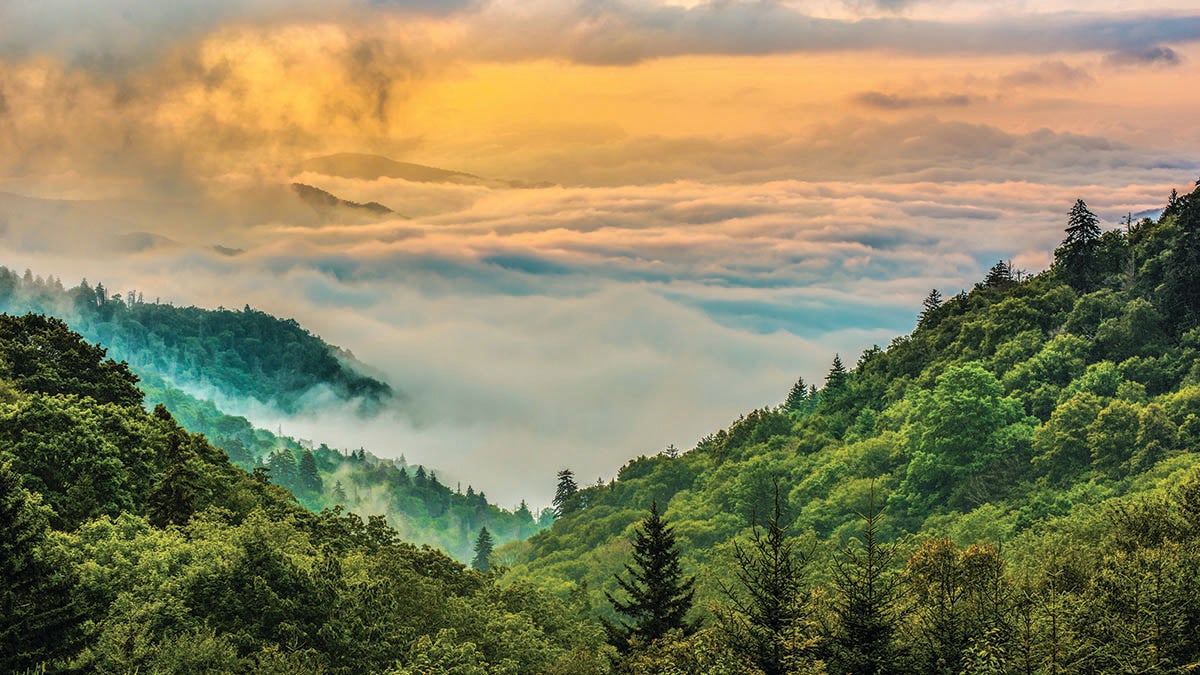 A view of the Great Smoky Mountains with clouds and fog covering the mountains at sunrise.