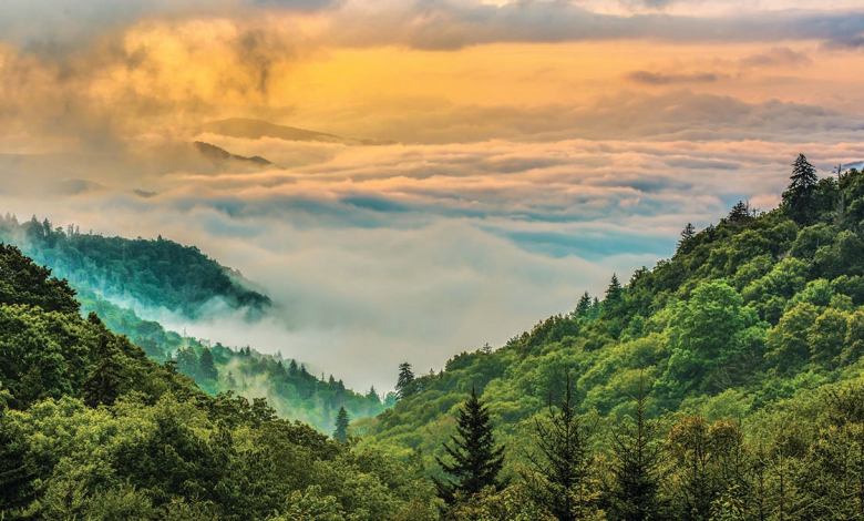 A view of the Great Smoky Mountains with clouds and fog covering the mountains at sunrise.