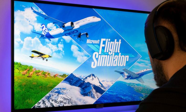 flight simulator
