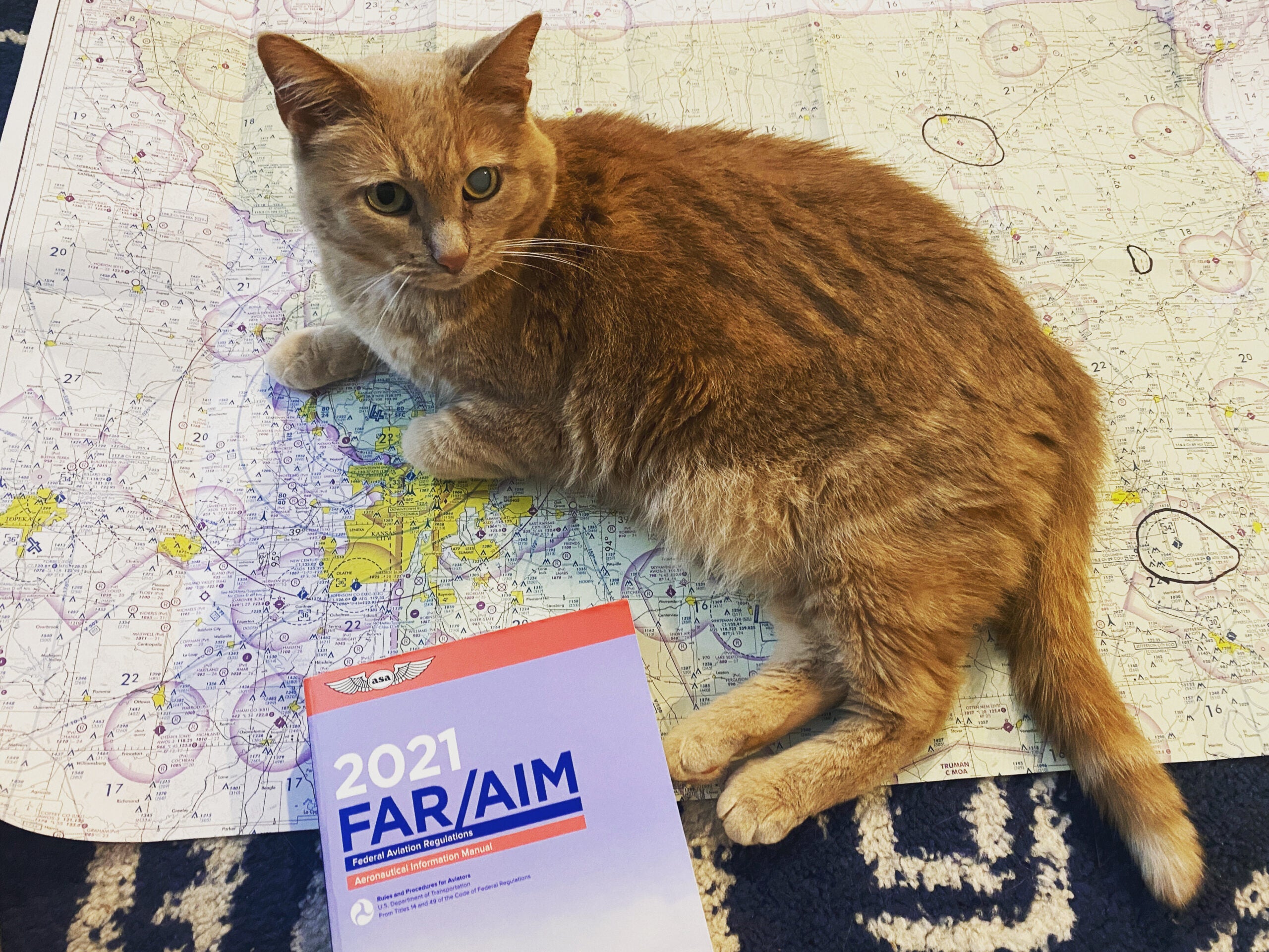 A ginger cat lies across an aeornautical sectional chart near a copy of the FAR/AIM