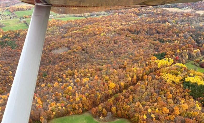 Fall colors taken in from a GA plane [Credit: Jason McDowell]