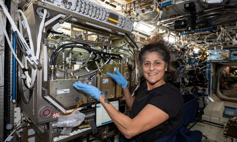 NASA Boeing Starliner astronaut Suni Williams ISS