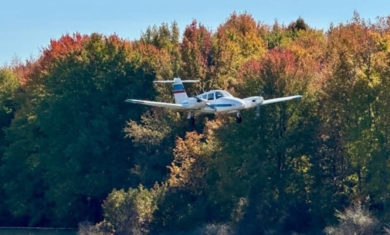 Plane in flight
