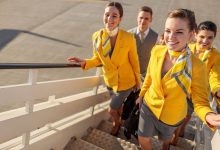 Flight attendants boarding an airplane
