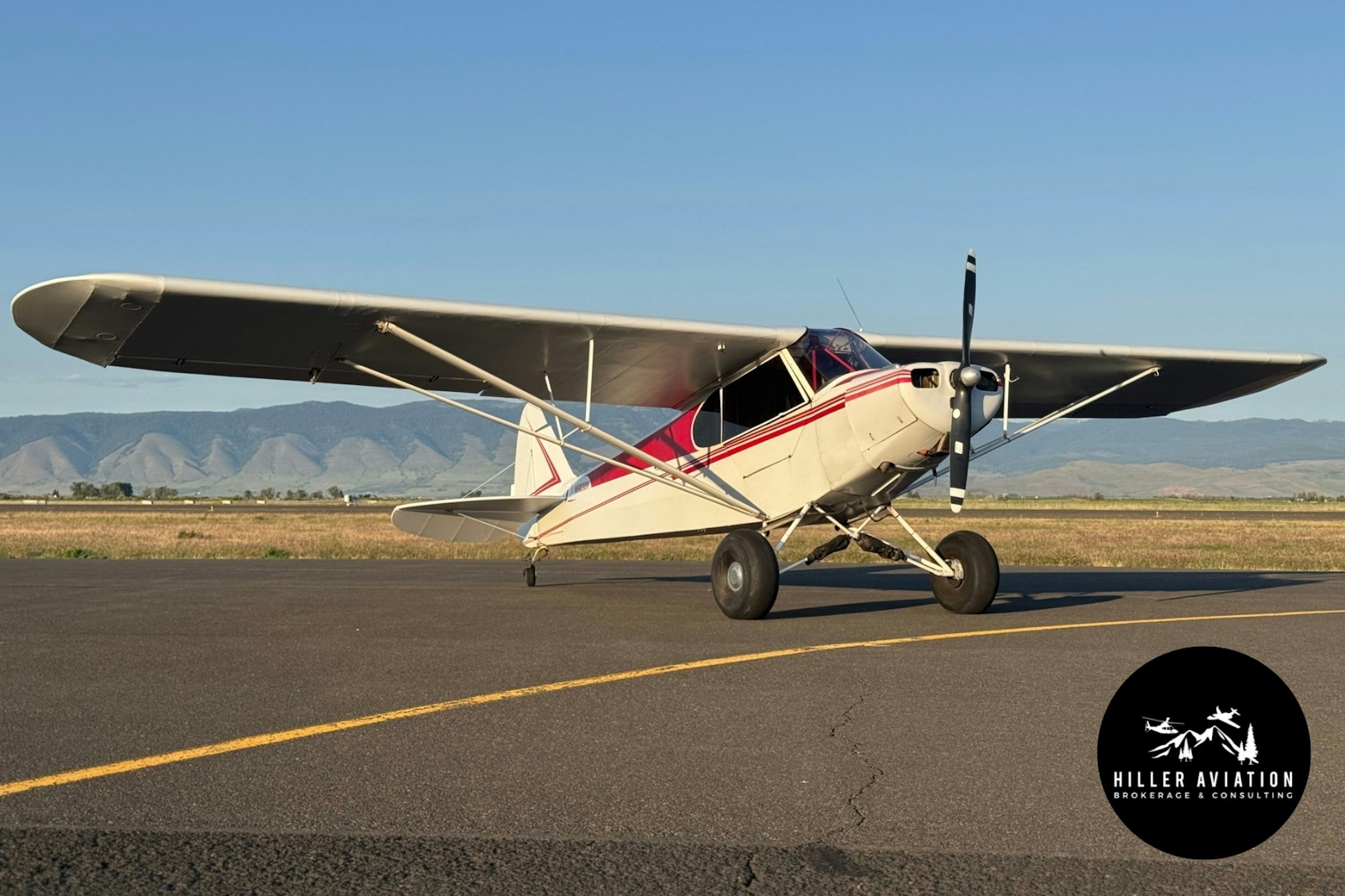 1949 Piper PA-11 Cub Special [Courtesy: Hiller Aviation Consulting]