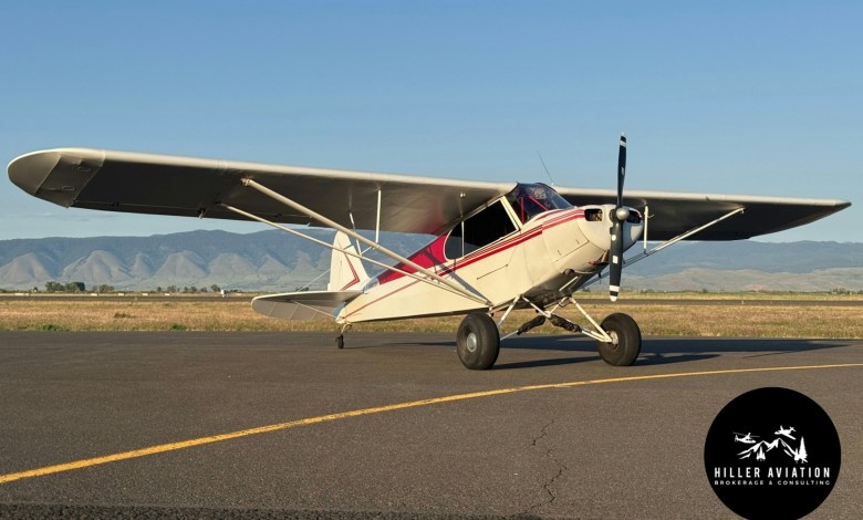 1949 Piper PA-11 Cub Special [Courtesy: Hiller Aviation Consulting]
