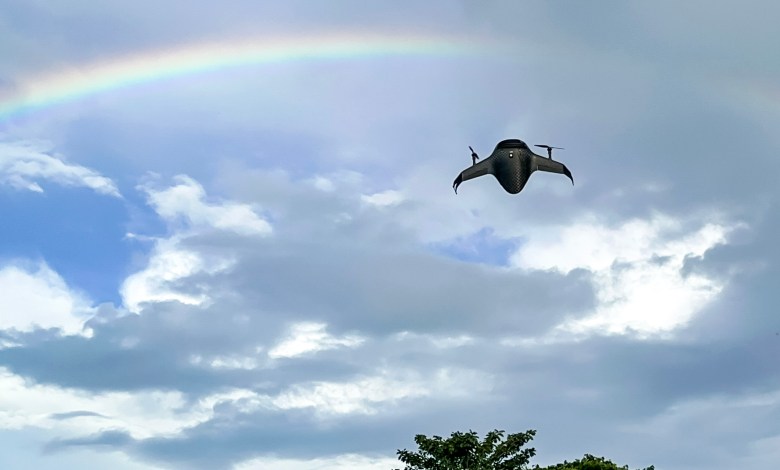 Airbound TRT BWB tail-sitter delivery drone