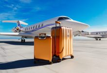 Luggage in front of jet [Shutterstock]