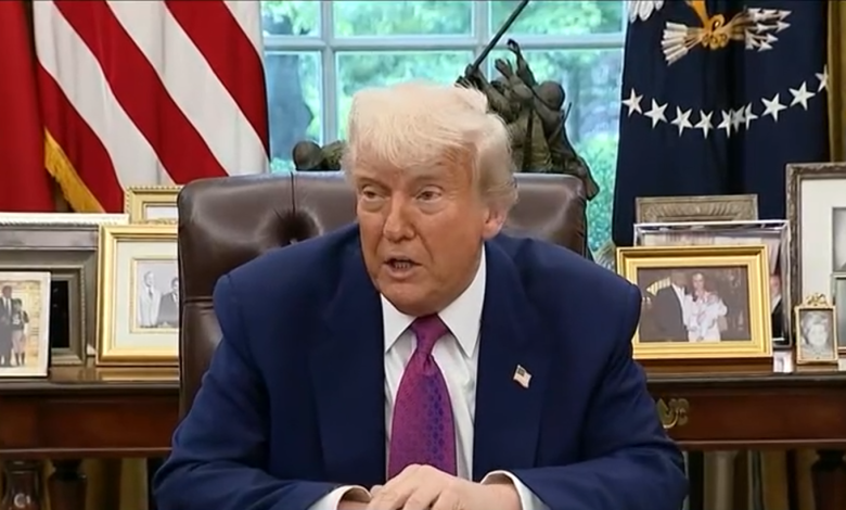President Donald Trump in the White House