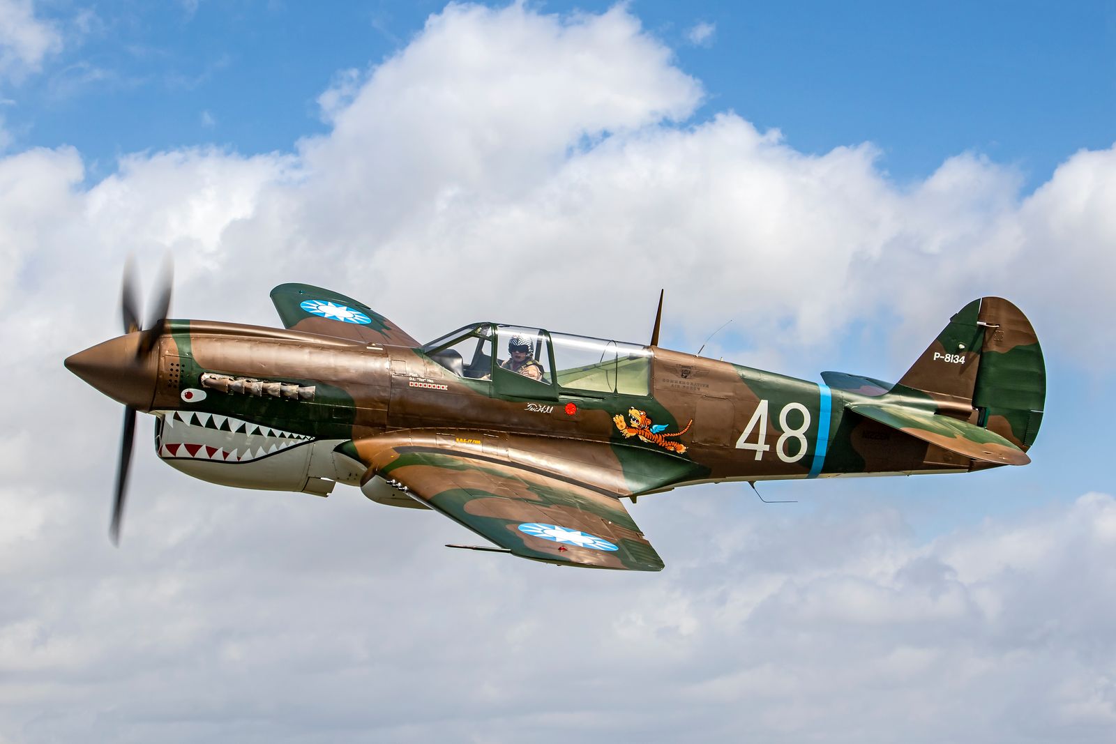 P-40 Warhawk [Credit: Commemorative Air Force]