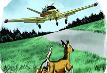 The author says what should have been a routine landing turned into an unforgettable encounter. [Illustration: Joel Kimmel]