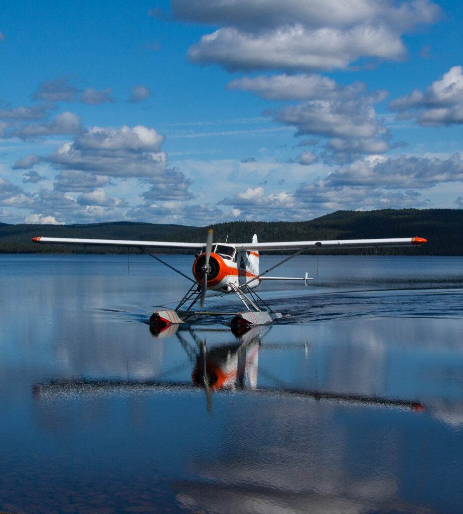de Havilland Beaver on floats [Credit: Adobe Stock]