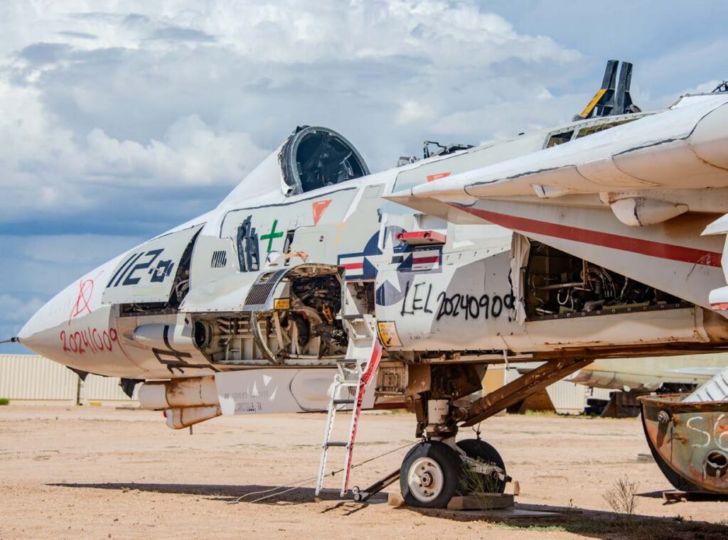 AMARG maintains a group of F-14 Tomcats. [Credit: Connor O'Shea]