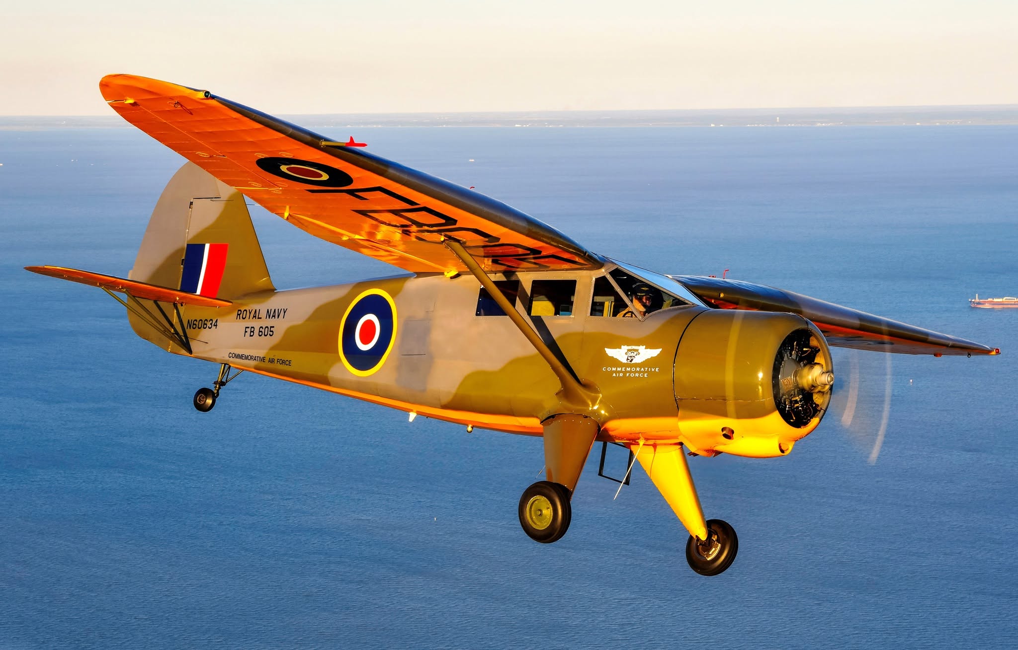 CAF Rainier Squadron AT-19