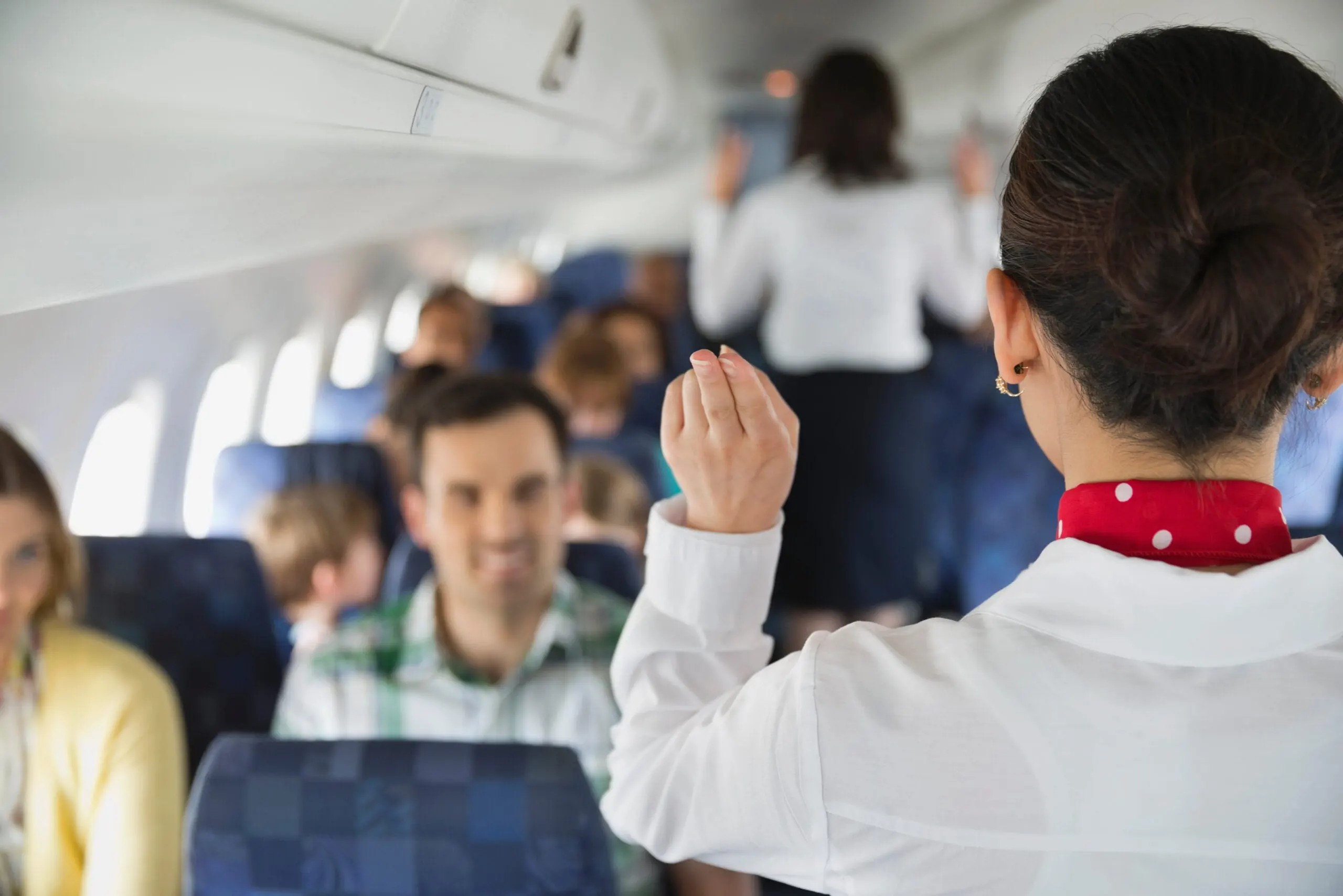 flight attendant stock image