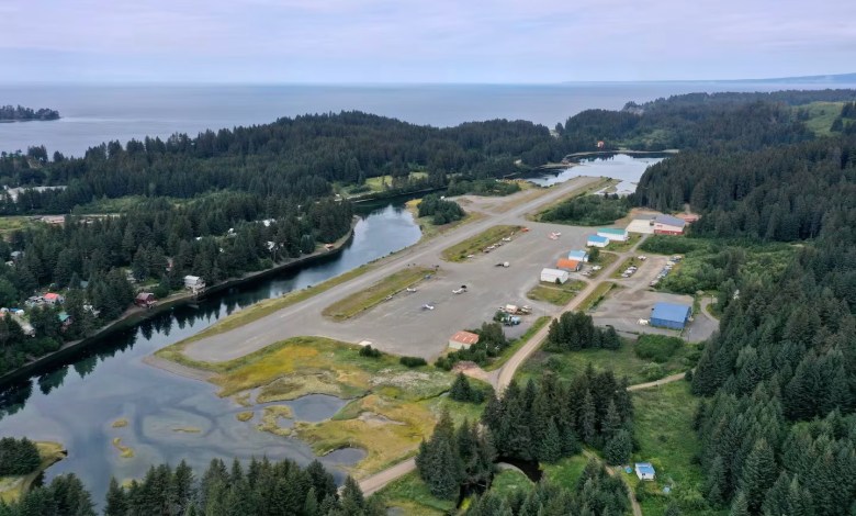 Seldovia Alaska airport