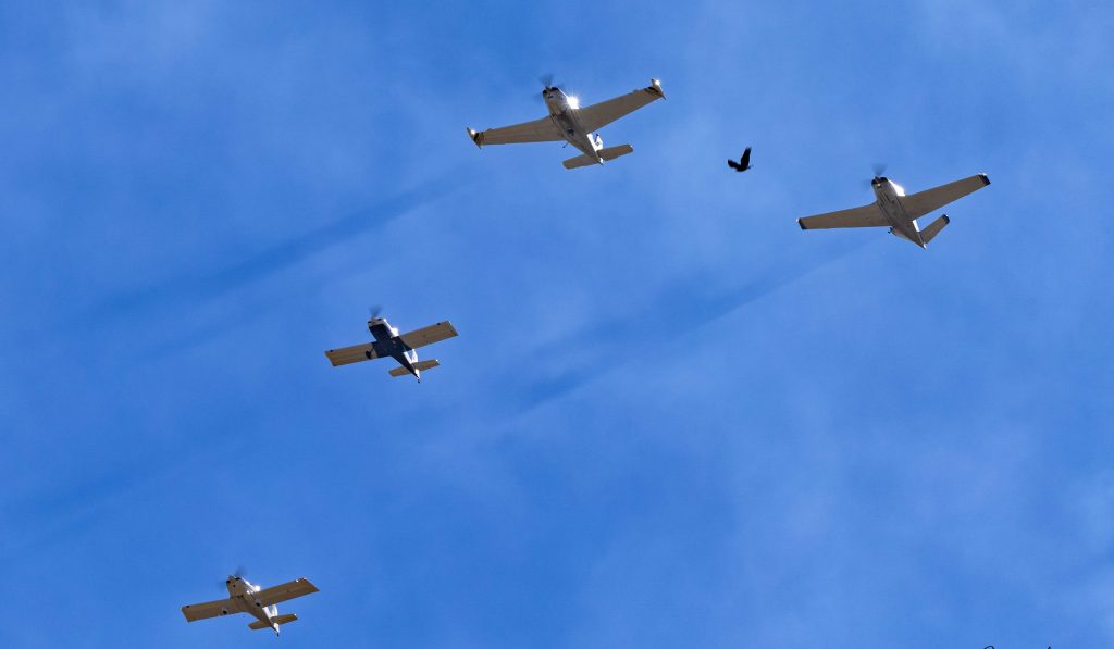 Food Truck Fly-In Returns to San Martin Airport