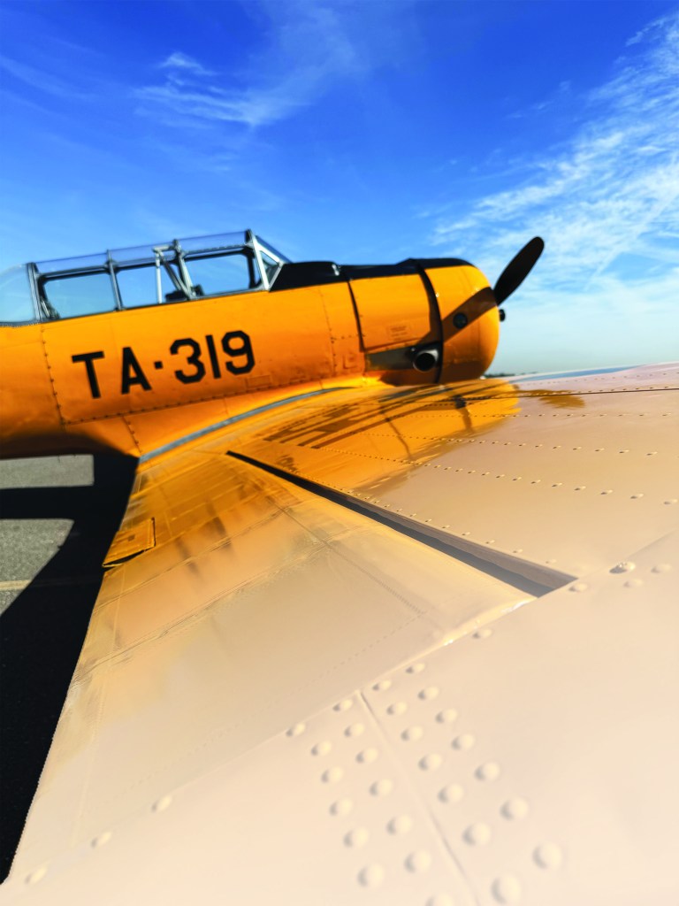 T-6 view from edge of the wing [Credit: Sean Siff]