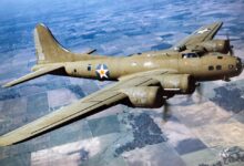 B-17 bomber [Credit: FLYING Archive]