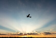 The General Aviation Awards Class of 2026 has been named. [Credit: Shutterstock]