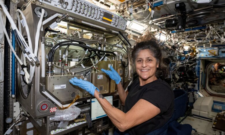 NASA Boeing Starliner astronaut Suni Williams ISS