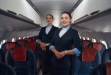 Two flight attendants in an airline.