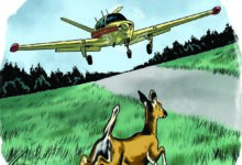 The author says what should have been a routine landing turned into an unforgettable encounter. [Illustration: Joel Kimmel]