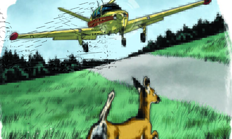 The author says what should have been a routine landing turned into an unforgettable encounter. [Illustration: Joel Kimmel]
