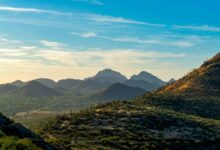 Tucson sits tucked into the picturesque Sonoran Desert, which is located just about an hour and a half drive to the southeast of Phoenix. [Credit: Adobe Stock]