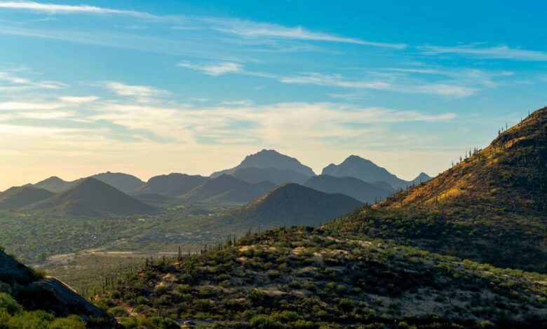 Tucson sits tucked into the picturesque Sonoran Desert, which is located just about an hour and a half drive to the southeast of Phoenix. [Credit: Adobe Stock]