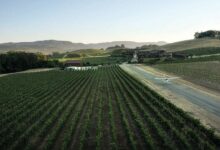 Steve Cox, from the YouTube channel Cleared Direct, calls Halter Ranch Airport (89CA) in California a ‘must visit.’ [Credit: Halter Ranch]