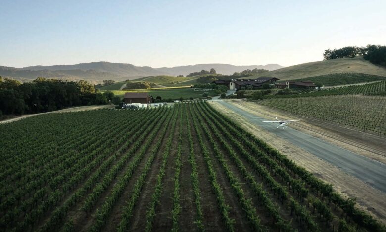 Steve Cox, from the YouTube channel Cleared Direct, calls Halter Ranch Airport (89CA) in California a ‘must visit.’ [Credit: Halter Ranch]